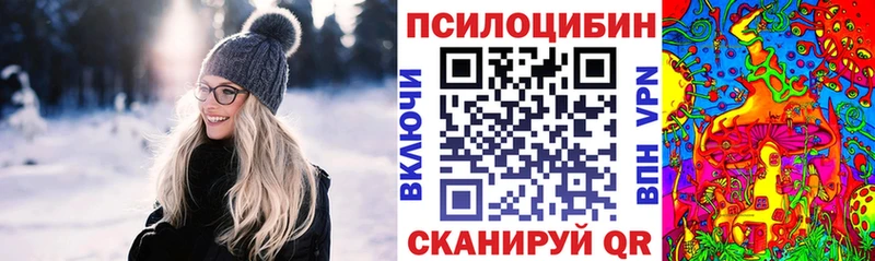 Псилоцибиновые грибы Psilocybine cubensis  Теберда 